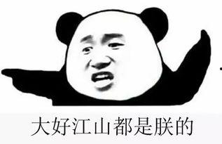 吃瓜群被端,网络黑产被警方一网打尽