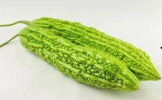 吃瓜群众吃植物,揭秘植物如何“吃”与“被吃”