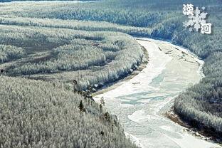 在线吃瓜漠河,探寻东北特色美食之旅