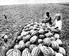 西安今日吃瓜新闻