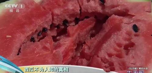 吃瓜猝死,揭秘背后惊人真相