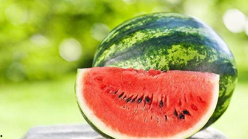 带着西瓜吃瓜,带着西瓜吃瓜的悠闲时光