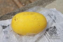 瑞丽吃瓜大妈,揭秘娱乐圈幕后真相