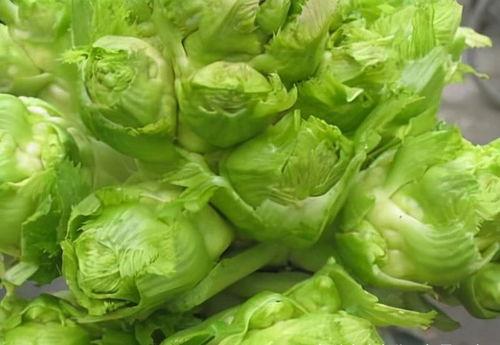 氧气崽随机吃瓜,一场意外的美食探险