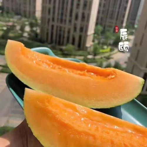 山东车站吃瓜,一场别开生面的民间娱乐盛宴